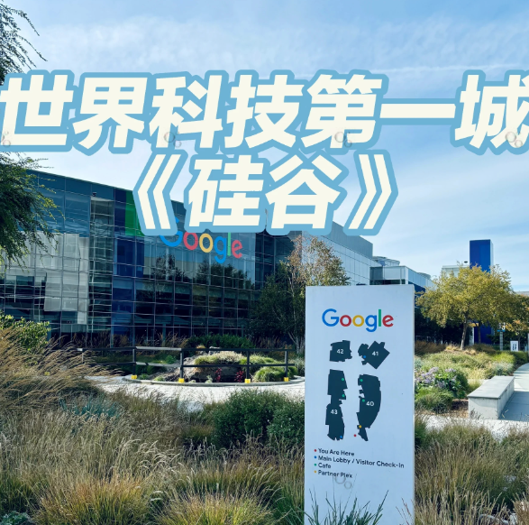 “仅值40美元”，遭香橼做空，Palantir股价六连跌